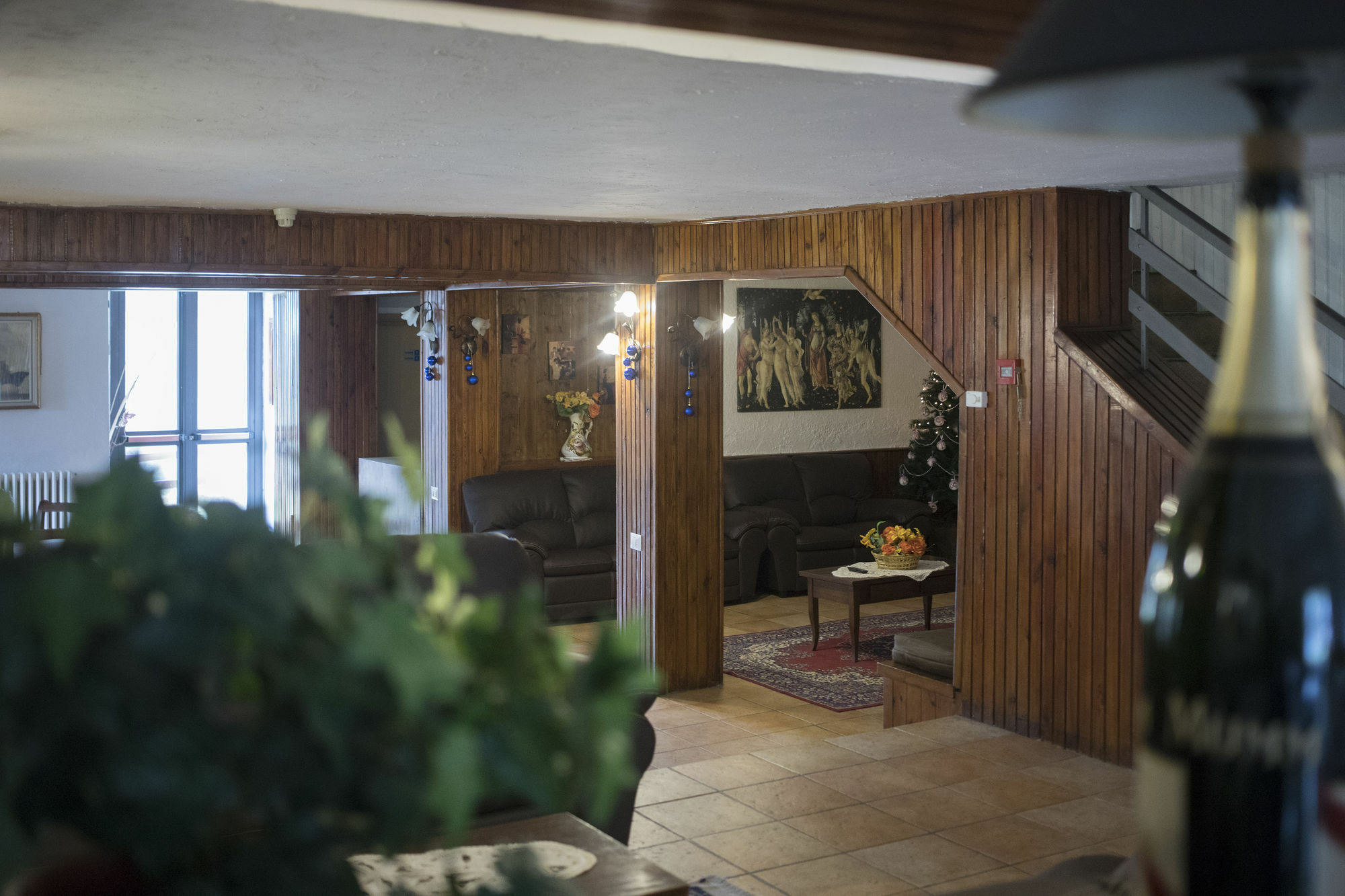 פסקאסרולי Hotel Pinguino מראה חיצוני תמונה